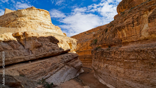 Oasi e canyon di Mides, regione di Tezeur