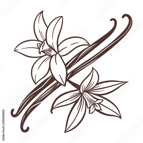 Vanilla Bloom vector iconic flower line art illustration design