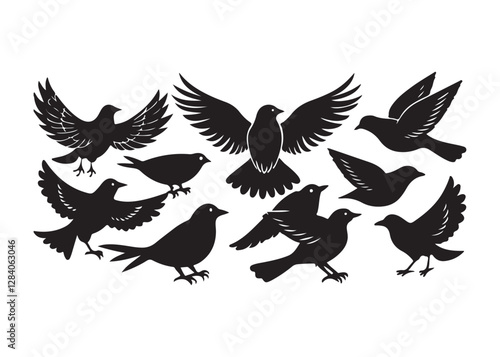 Bird Silhouettes Collection, black silhouettes of wild forest birds. Winter wild animal