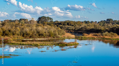 Paisaje panorámico de humedales con reflejos y vegetación exuberante
