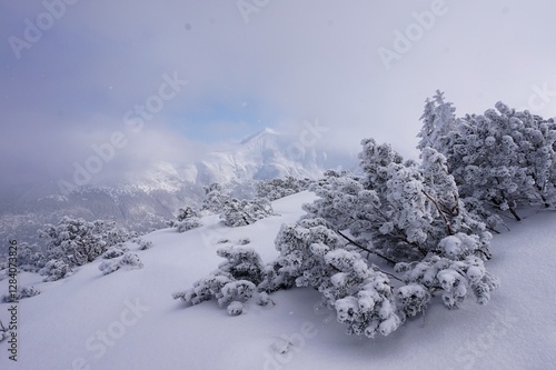 Wallpaper Mural winter landscape mountains in coulds Torontodigital.ca