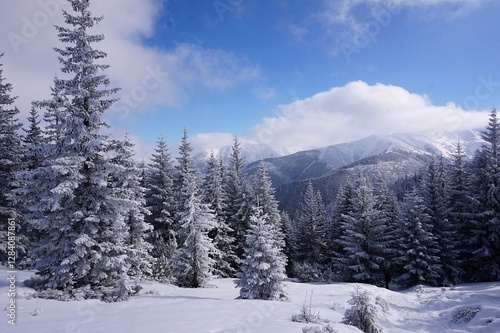 Fototapeta Naklejka Na Ścianę i Meble -  Winter landscape mountains
