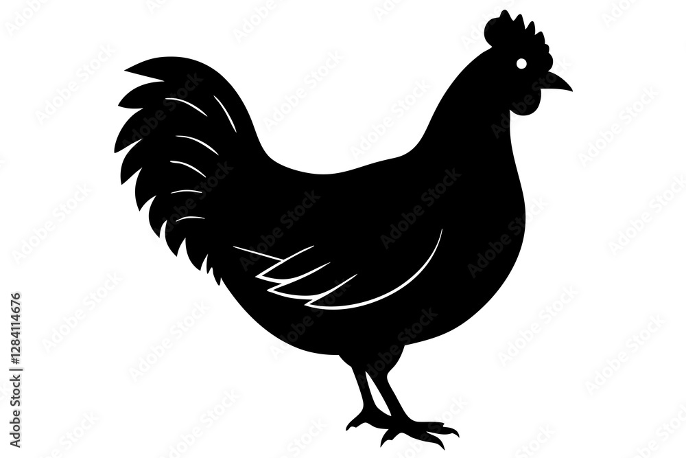 Fototapeta premium rooster isolated on white background