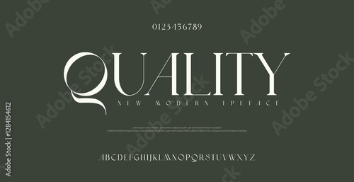 Luxury beauty font alphabet logo. Typography beautiful fashion elegant classic letters serif italic fonts wedding vintage retro casters logos. vector illustration
