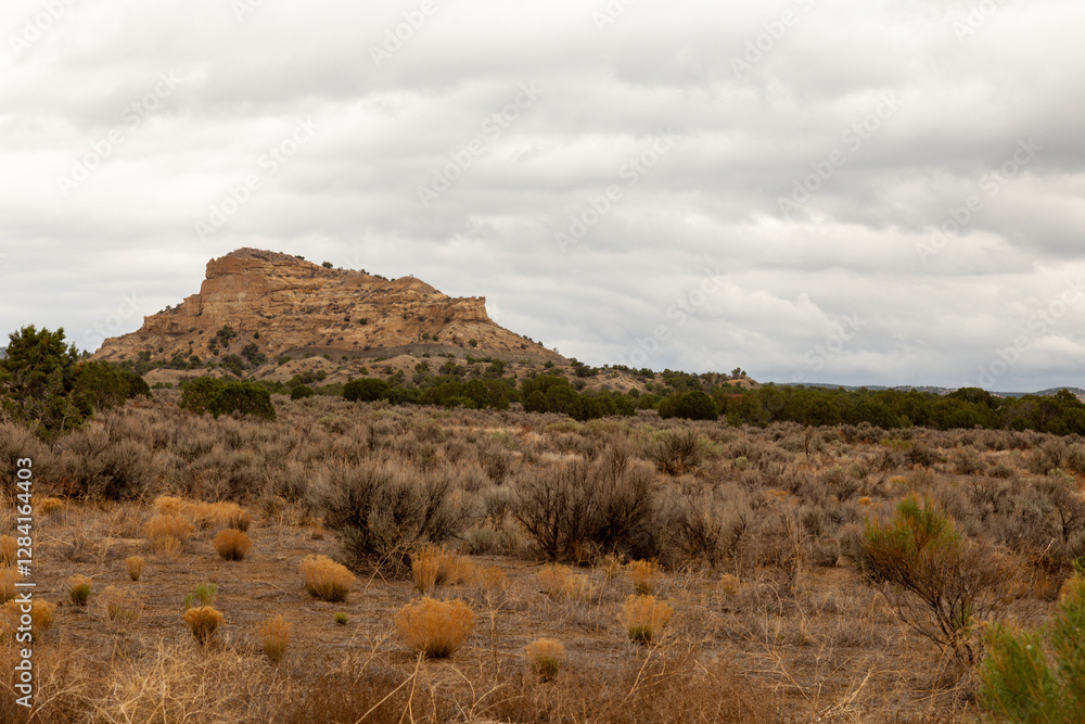 A rugged New Mexico landscape near Chaco Canyon features a prominent butte beneath a cloudy sky. Sagebrush and grasses dominate the arid foreground, with muted browns and tans defining the scene. A rugged New Mexico landscape near Chaco Canyon features a prominent butte beneath a cloudy sky. Sagebrush and grasses dominate the arid foreground, with muted browns and tans defining the scene.