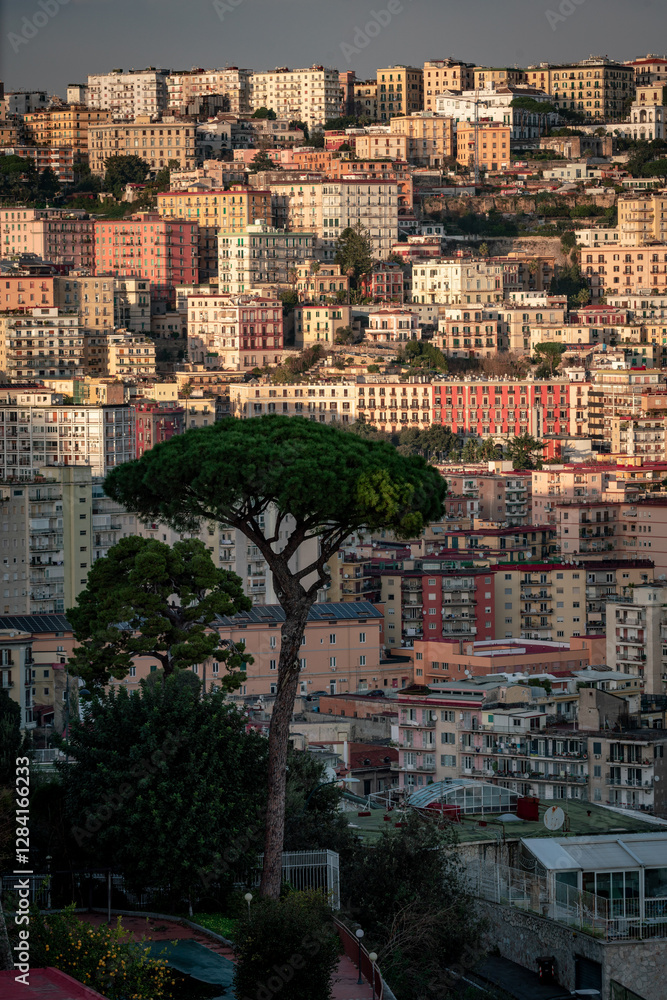 Fototapeta premium Cityscape of Naples, Italy. Buildings, Architecture.