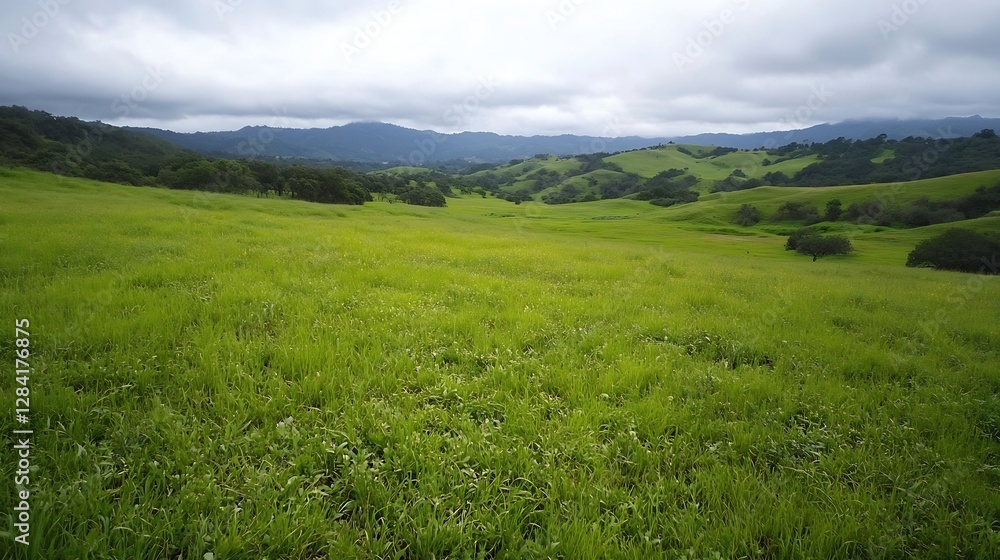 Vibrant green rolling hills and meadows under a moody cloudy sky showcasing the beauty of nature : Generative AI Vibrant green rolling hills and meadows under a moody cloudy sky showcasing the beauty of nature : Generative AI