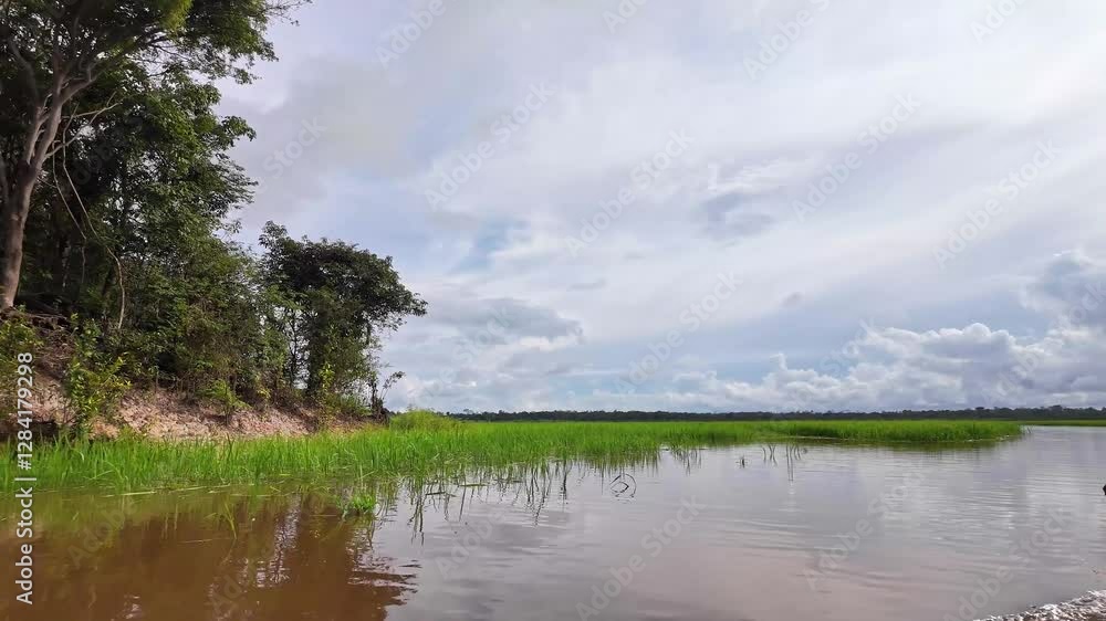 River boat trip at Parana do Mamori in the Amazon rainforest about 100 km south of Manaus, Amazonas state in Brazil River boat trip at Parana do Mamori in the Amazon rainforest about 100 km south of Manaus, Amazonas state in Brazil