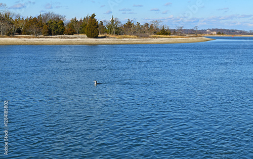 West Meadow Beach peninsula in Stony Brook, NY, one of largest and most diverse coastal ecosystems on north shore of Long Island