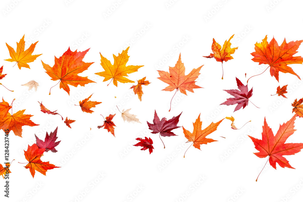 Vibrant autumn leaves drifting in gentle breeze Vibrant autumn leaves drifting in gentle breeze