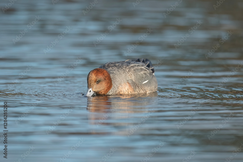 Fototapeta premium Generated image