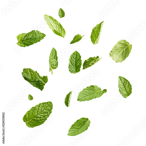 Fresh Mint Leaves Falling PNG Against Transparent Background for Herbal Remedies, Organic Products, or Refreshing Beverage Designs