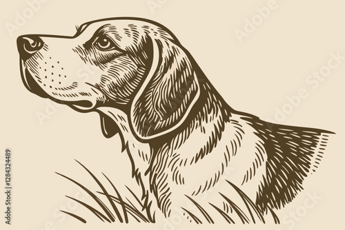 Beagle puppy vector illustration