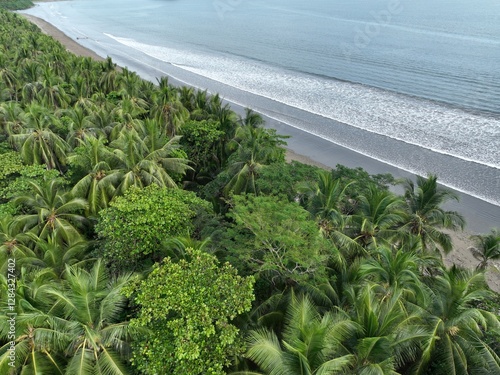 Fototapeta Naklejka Na Ścianę i Meble -  Tropical forest meets beach in Paquera, Costa Rica