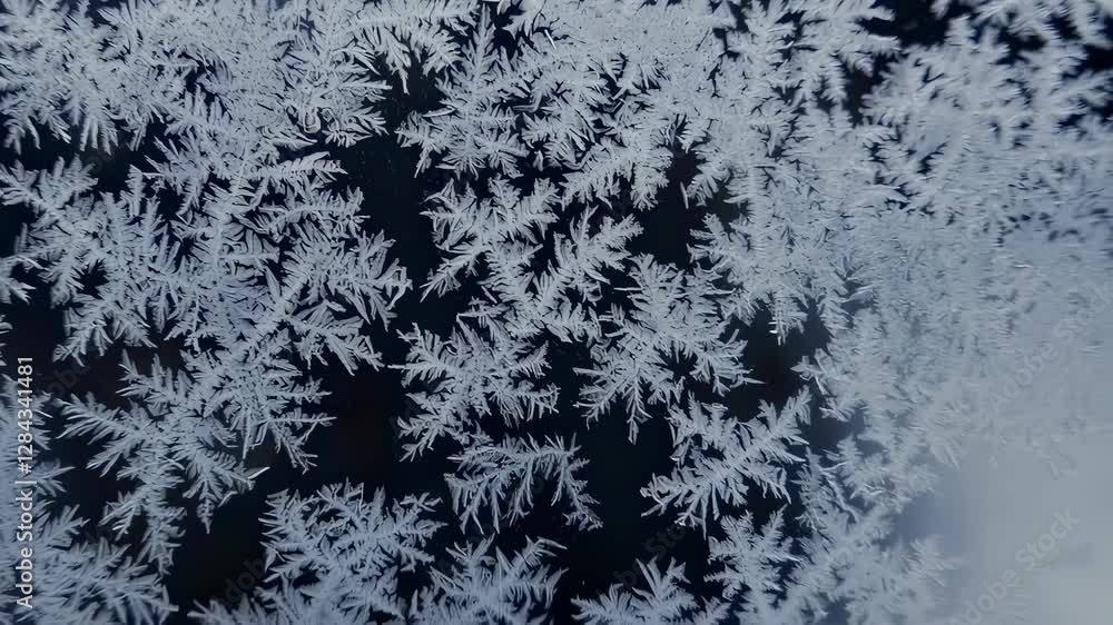 Frost Patterns on Glassy Surface Frost Patterns on Glassy Surface