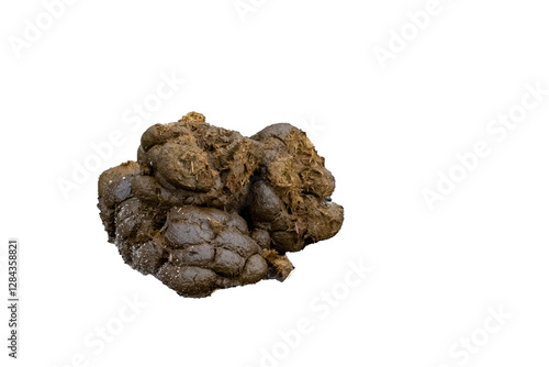 Schilderij op canvas Horse manure droppings lying on the ground on a farm