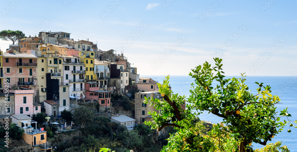 Obraz premium Panoramic view of the village of Corniglia, one of the five ancient villages of Cinque Terre, located on rugged northwest coast of Italian Riviera, Liguria. Well-known tourist location