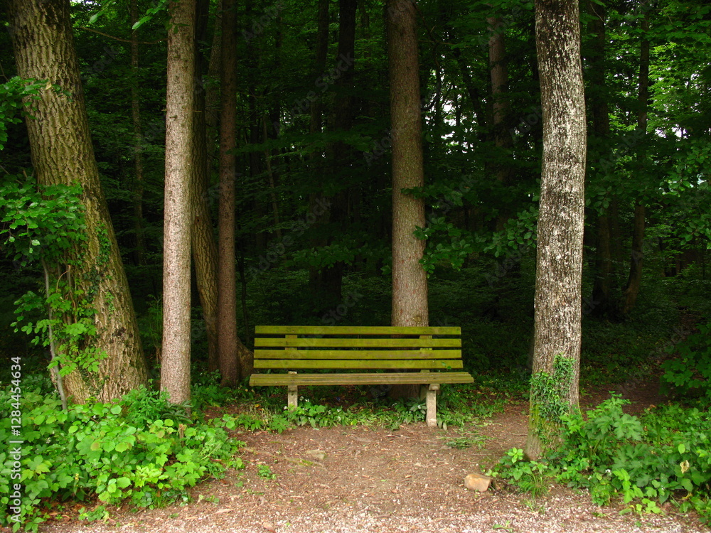 Sitzbank im Wald Sitzbank im Wald