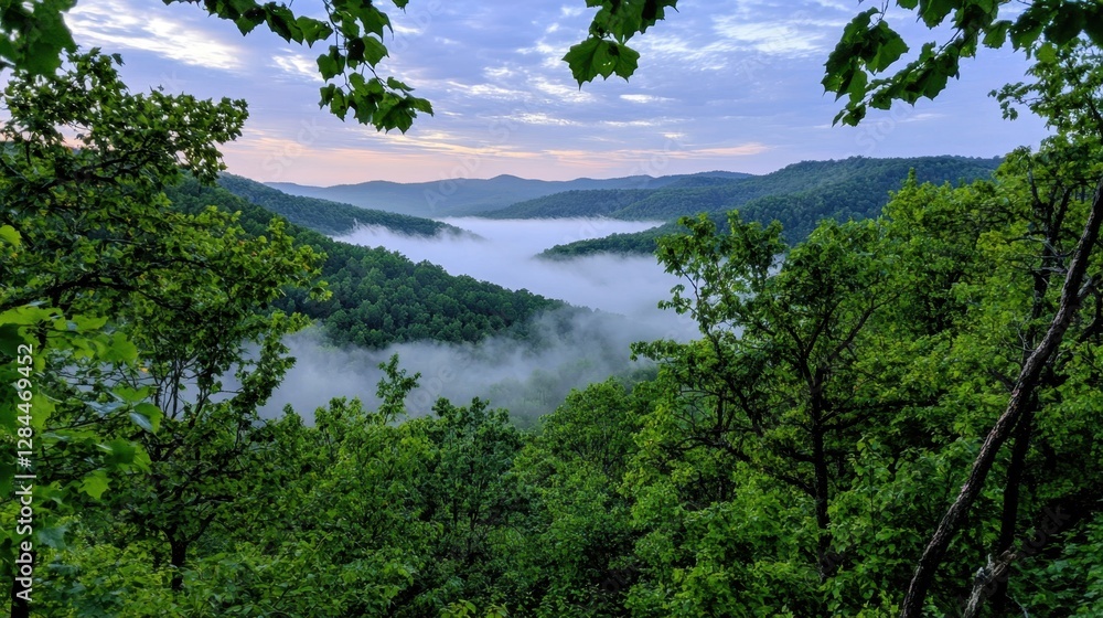 A serene valley filled with mist stretches across the landscape at dawn. Lush green trees frame the view as soft light breaks over the rolling hills in the distance A serene valley filled with mist stretches across the landscape at dawn. Lush green trees frame the view as soft light breaks over the rolling hills in the distance
