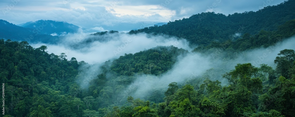 Misty mountain landscape with dense greenery and rolling fog in a lush forest Misty mountain landscape with dense greenery and rolling fog in a lush forest