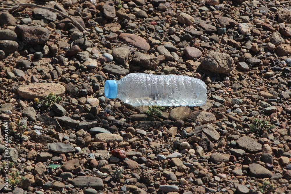 Obraz premium Plastic Bottle Lying on Ground