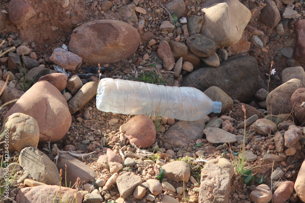 Fototapeta premium Plastic Bottle Lying on Ground