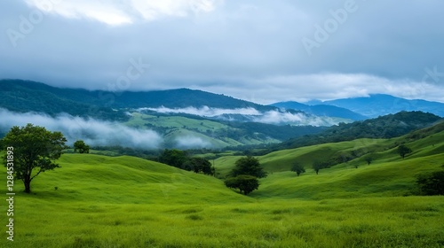 Lush green hills with majestic clouds creating a breathtaking landscape of natural tranquility : Generative AI photo