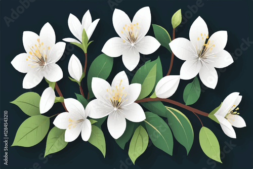 Flower blossom plant white.