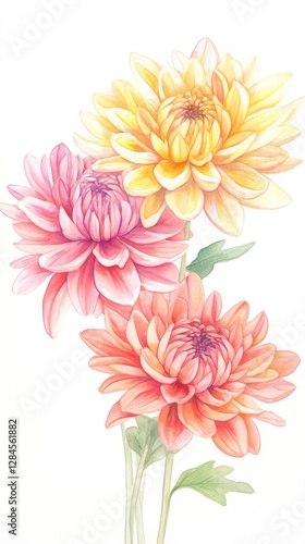 Vibrant chrysanthemum blooms in watercolor showcasing rich reds, oranges, and yellows with intricate botanical details