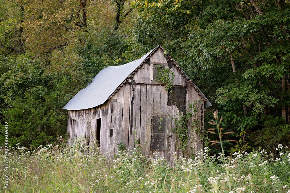Abandoned wooden barn with a metal roof, surrounded by wildflowers Abandoned wooden barn with a metal roof, surrounded by wildflowers