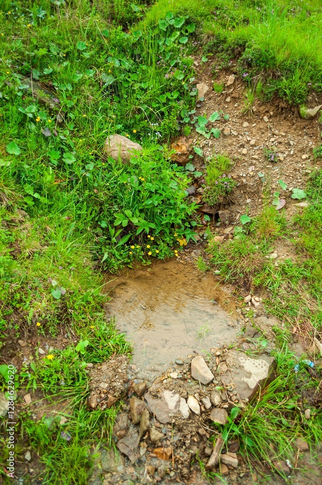 A small muddy stream flows through the rocks and green vegetation into a shallow pool. A small muddy stream flows through the rocks and green vegetation into a shallow pool.