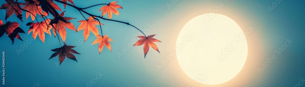 The silhouette of swinging leaves against a full moon at night The silhouette of swinging leaves against a full moon at night