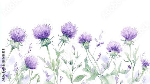 Natural beauty in wild thistles showcasing deep purple hues and lush green foliage in a delicate watercolor portrayal
