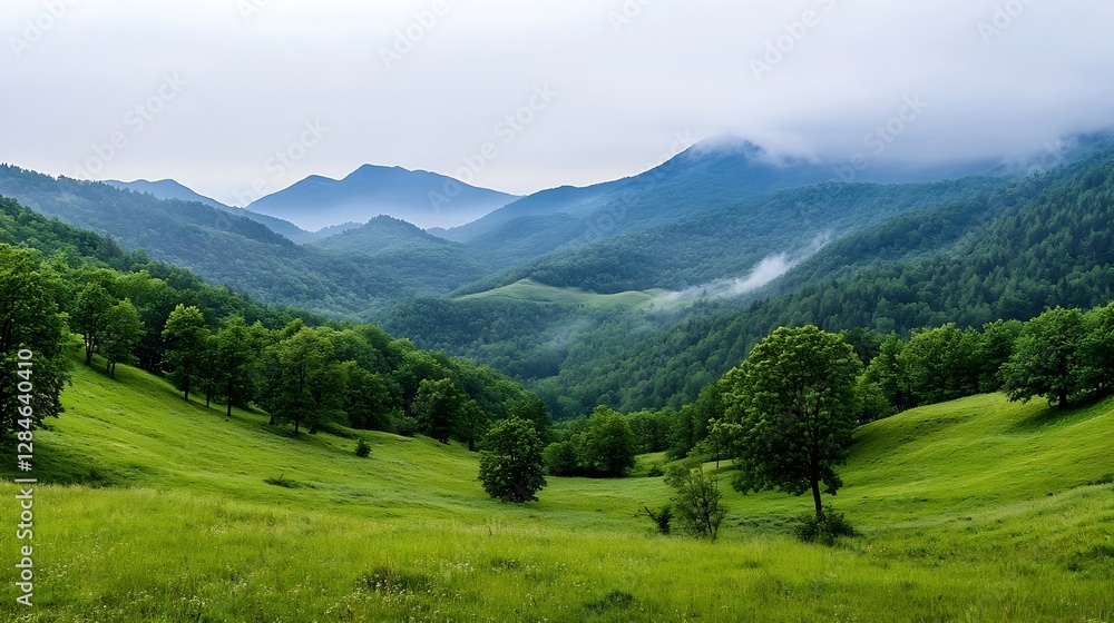 Breathtaking view of lush green hills and mountains enveloped in misty clouds reflecting tranquility : Generative AI Breathtaking view of lush green hills and mountains enveloped in misty clouds reflecting tranquility : Generative AI