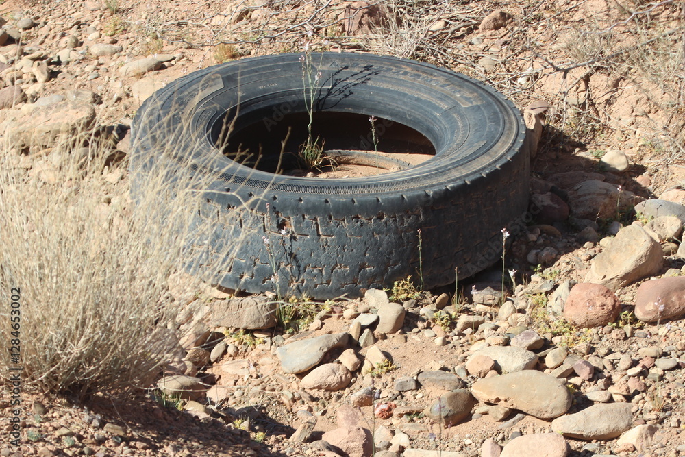 Abandoned Tire in the Desert