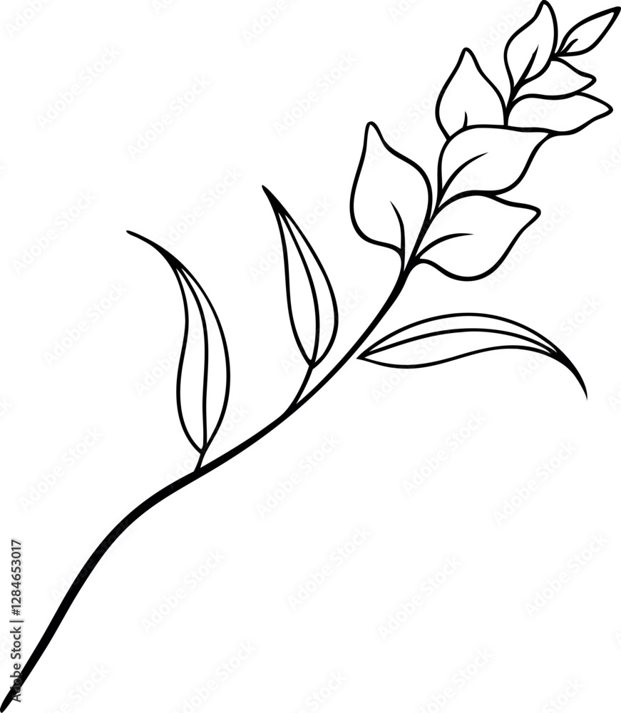 Simple Gladiolus Line Art – Botanical Vector Illustration Simple Gladiolus Line Art – Botanical Vector Illustration