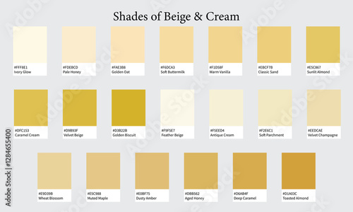 Color Palettes 20 Shades of Beige and Cream - Ivory, Sand and Vanilla Colors - with HEX Codes and Names, Colour Swatches and Combinations
