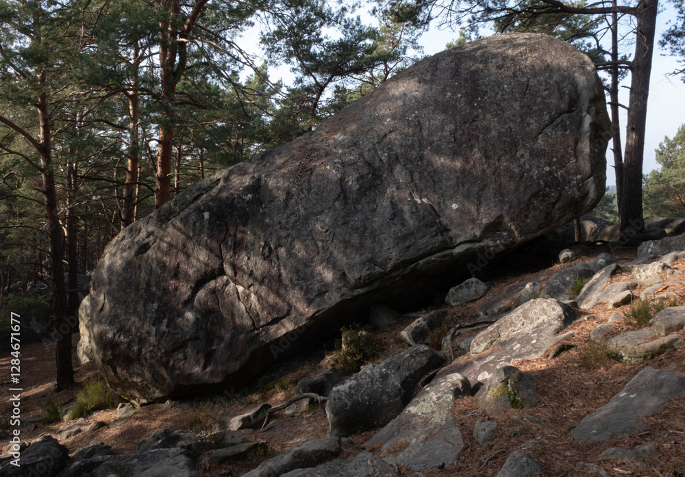 Natural variety found in a rocky forest; the Fontainebleau forest, in France. Natural variety found in a rocky forest; the Fontainebleau forest, in France.