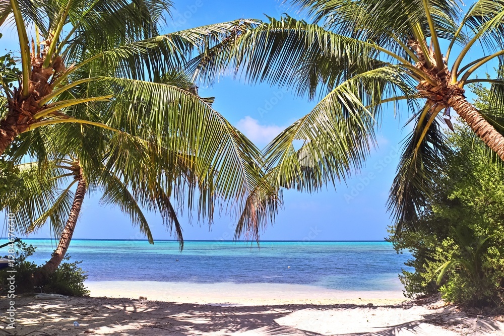 Fototapeta premium Tropical beach with white sand, turquoise water and palm trees in maldives