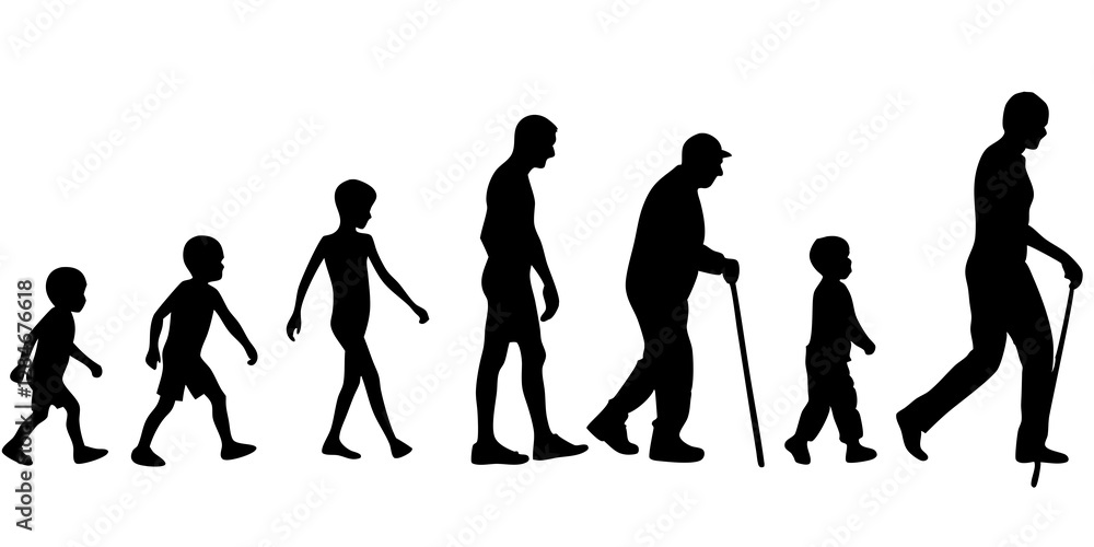 Obraz premium Life cycles of woman from a little baby to senior woman silhouette vector illustration