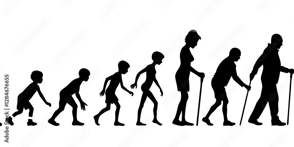Obraz premium Life cycles of woman from a little baby to senior woman silhouette vector illustration