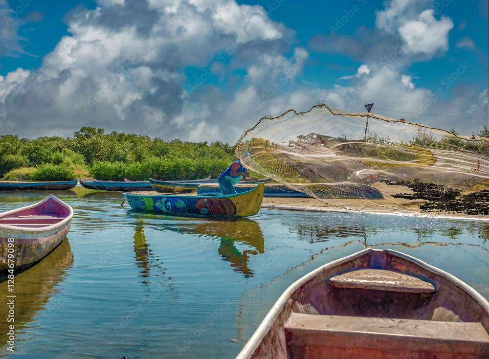 A fisherman throws a hand-weaved fishing net on the waters of the mangrove lagoons of La Boquilla, Cartagena, Colombia