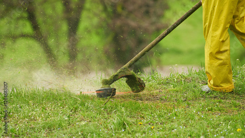 An employee cuts grass on the lawn with a hedge trimmer. Small parts of the cut grass fly away from the rotating fishing line. photo