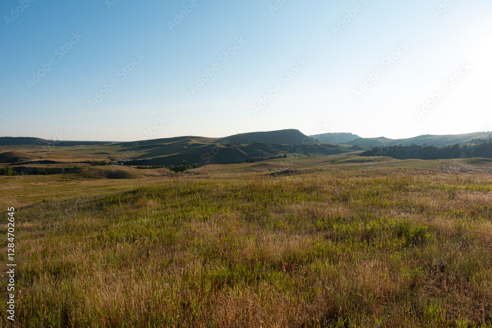 landscape with prairie and blue sky landscape with prairie and blue sky