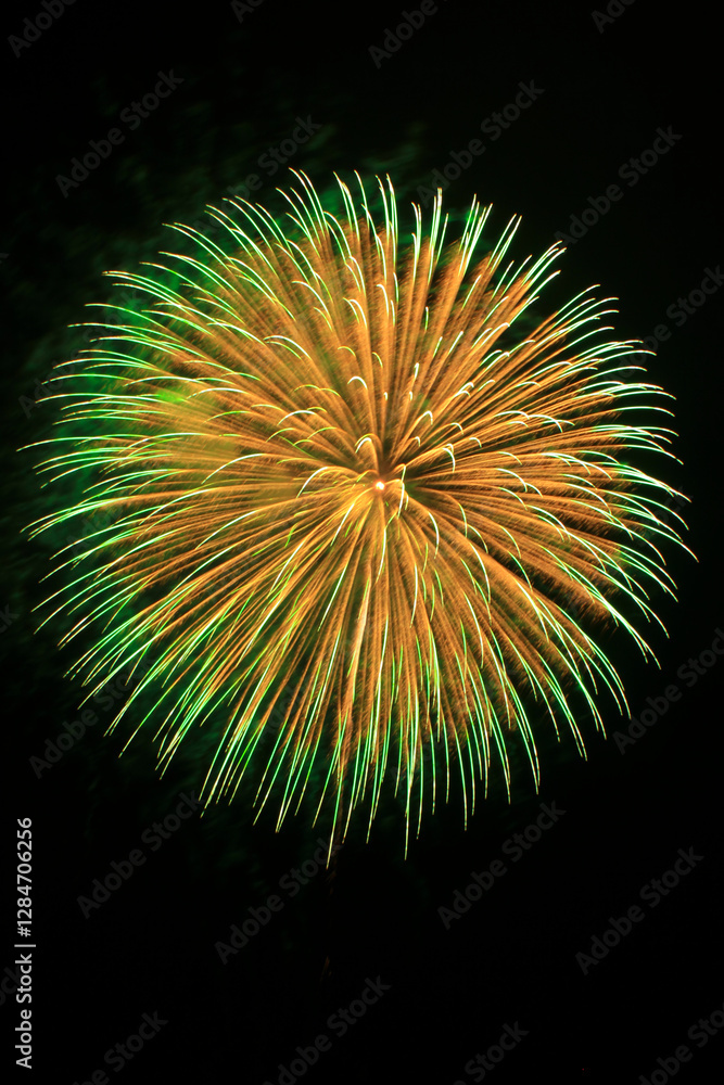 Fototapeta premium 山形県 大石田まつり花火大会 尺玉 Oishida Festival Fireworks 12 inch shell