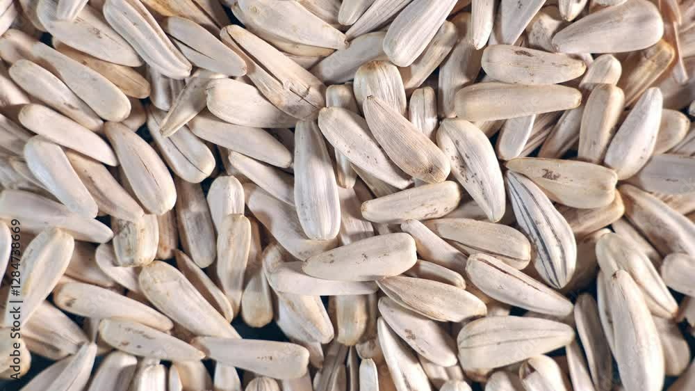 A detailed view of sunflower seeds with elongated beige shells and dark streaks, arranged densely to form a uniform and textured pattern. A detailed view of sunflower seeds with elongated beige shells and dark streaks, arranged densely to form a uniform and textured pattern.