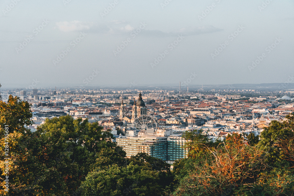 Obraz premium panorama of budapest with ferry wheel and big cathedral church over the city roofs