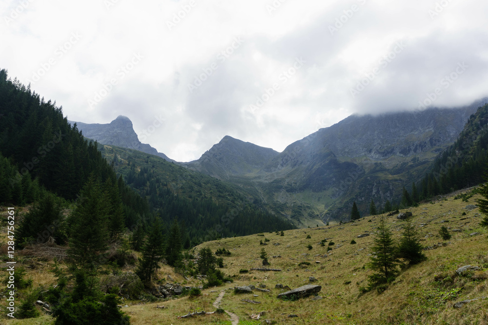 Fototapeta premium high peaks mountain landscape with clouds and pine trees on different lights and shades