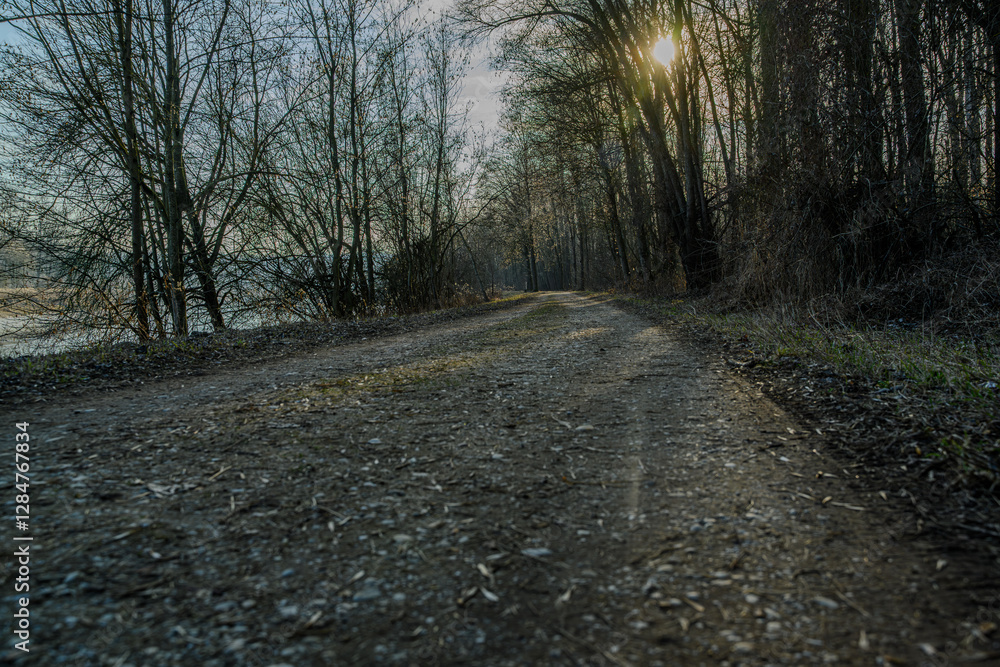 Fototapeta premium Wanderung an der renaturierten Isar nahe Landau