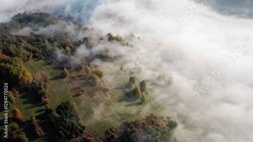 Foggy Landscape with Trees Mountains 